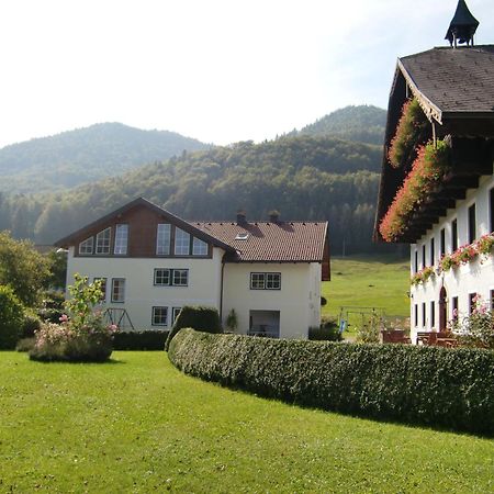Pension Hohenau Hotel Fuschl am See Bagian luar foto