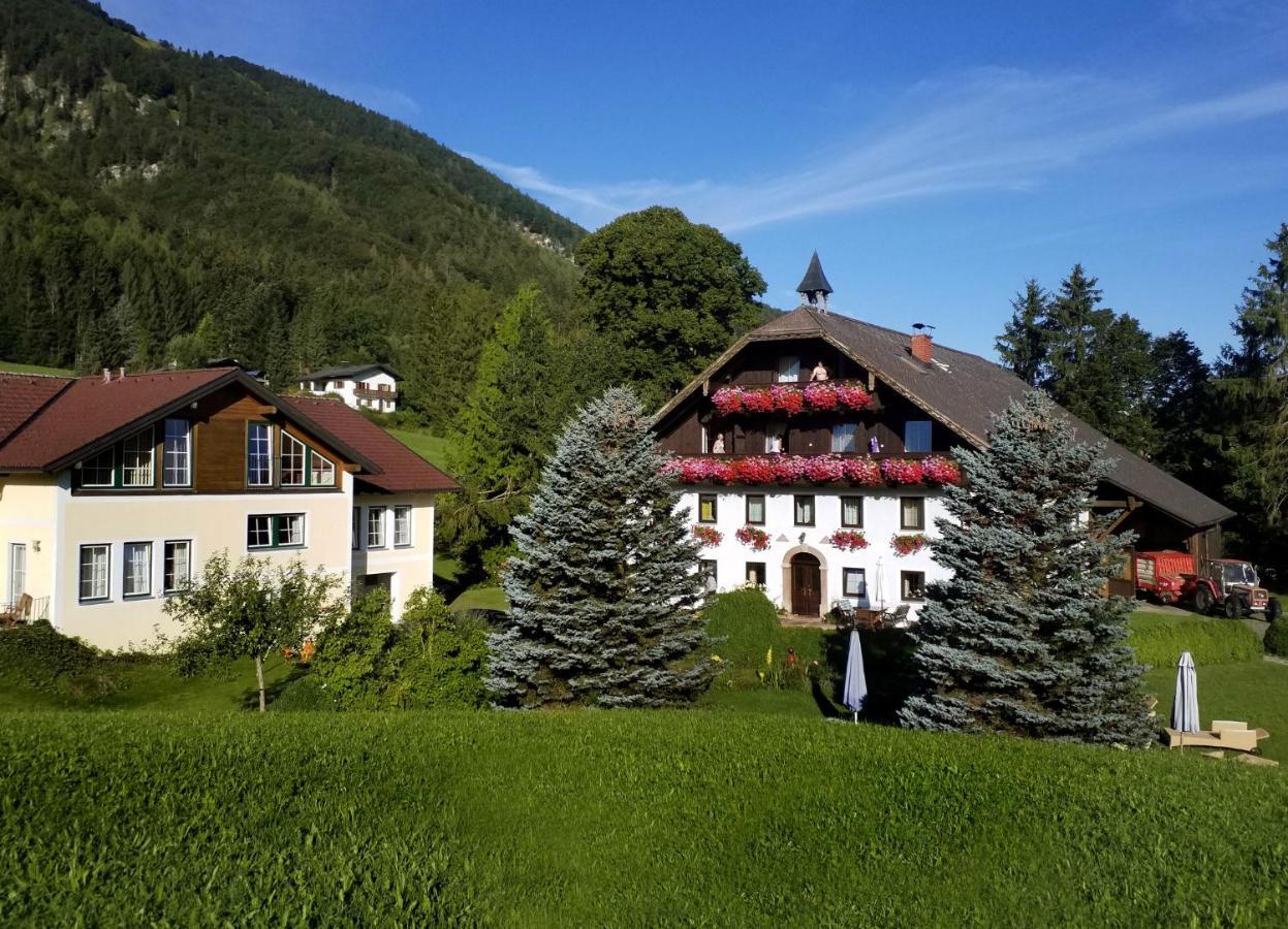 Pension Hohenau Hotel Fuschl am See Bagian luar foto