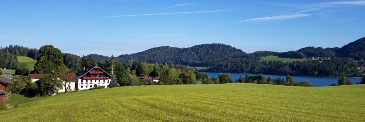 Pension Hohenau Hotel Fuschl am See Bagian luar foto